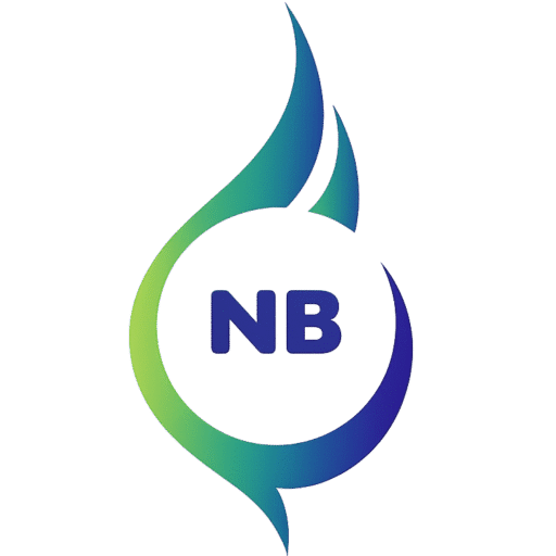 NB plumbing and heating services ltd logo.